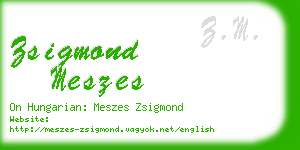 zsigmond meszes business card